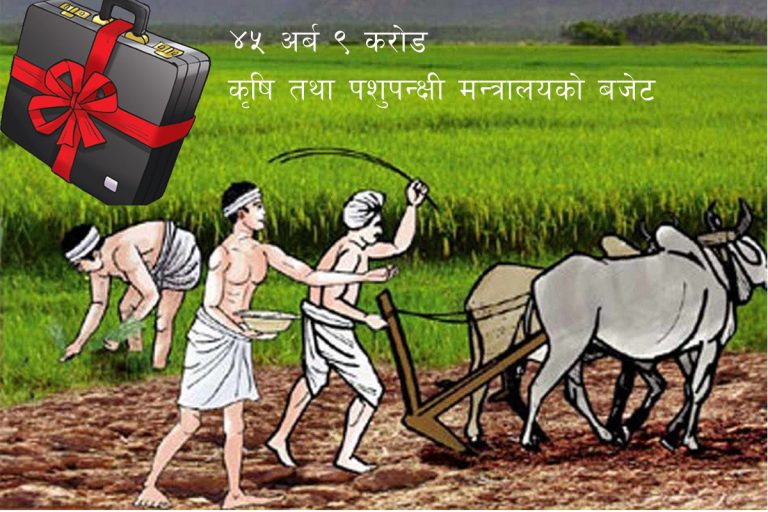 सरकारले छुट्यायो कृषिलाई ४५ अर्ब ९ करोड रकम बजेट
