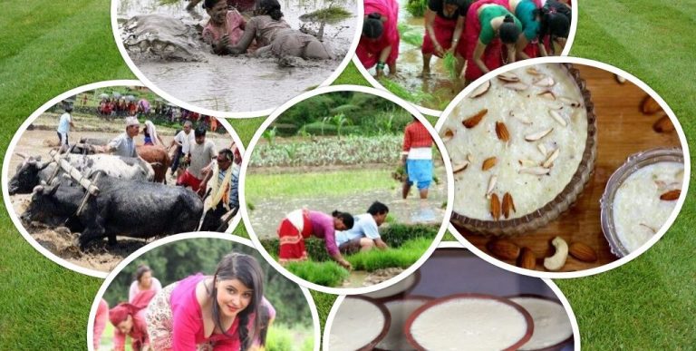 ‘मुठी खाएर मुरी उब्जाउने दिन’ को रूपमा लिइने असारे पन्ध्रको महत्त्व बढ्दो