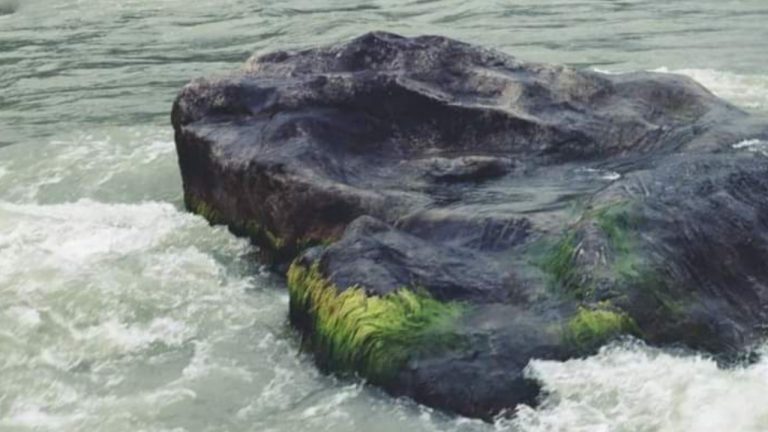 खुवालुङ ढुङ्गा संरक्षण गर्दै जल यातायात सञ्चालन गरिनेछः मन्त्री नेम्वाङ