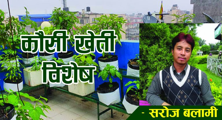 कौसी खेती : विशेष जान्नै पर्ने केही कुरा
