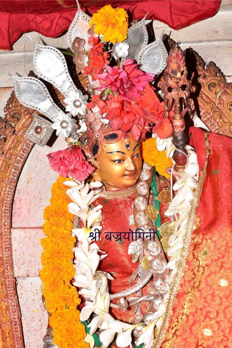 फर्पिङमा बज्रयोगिनी माईको जात्रा सम्पन्न